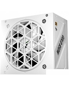 Блок питания NGDP Gold 850W HA-850BA4-WH 1stplayer