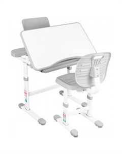 Ученический стол Ara с подставкой для книг и выдвижным органайзером (белый/серый) Anatomica