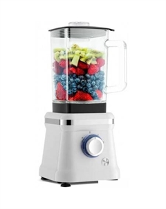 Стационарный блендер R1501-201 Ragex