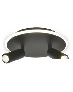 Точечный светильник 20046LED 20046SMA/02LED BK Escada