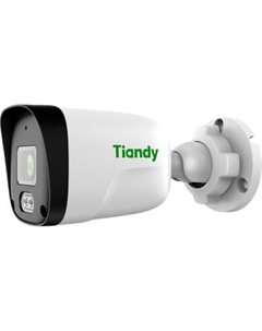 IP-камера TC-C321N AK/I3/E/Y/C/2.8mm/V2.0 Tiandy