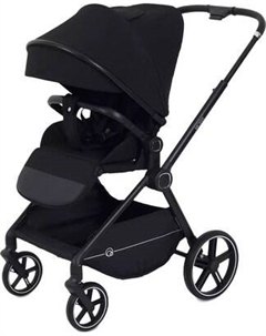 Детская прогулочная коляска Rant Moss / RA323
