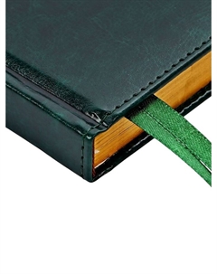 Ежедневник НЕдатированный А5, 136 листов в линейку, кожзам «Небраска», золотой срез, зелёный Calligrata