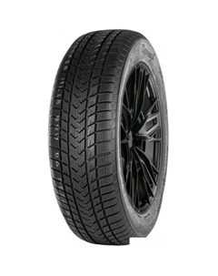 SureGrip eWinter 205/40R17 84V Gripmax