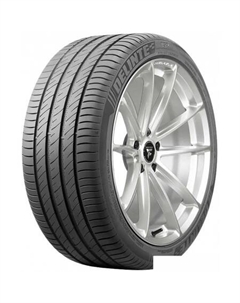 DS2 235/40R18 95W Delinte