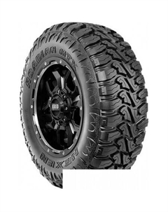 Roadian MTX RM7 265/70R17 121/118Q Nexen