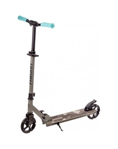 Двухколесный подростковый самокат 2015SG-GR Favorit