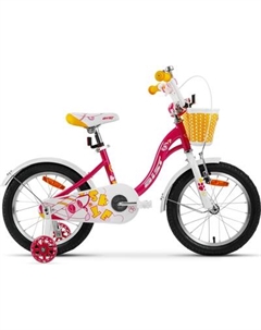 Детский велосипед AIST Skye 20 2024 Aist