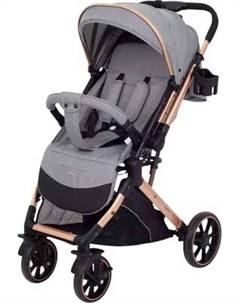 Детская прогулочная коляска Basic Vortex / RA304 Rant