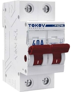Выключатель нагрузки 2П 40А / TKE-PZ60-MDSI-2-40 Tokov electric