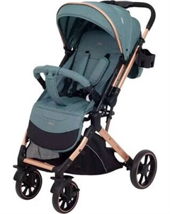 Детская прогулочная коляска Basic Vortex / RA304 Rant