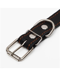 Ошейник кожаный на синтепоне, безразмерный, 65×3 см, ОШ 22-55 см, чёрный Пижон