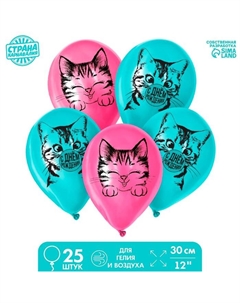Воздушный шар латексный 12" «Котик», 25 шт. Страна карнавалия