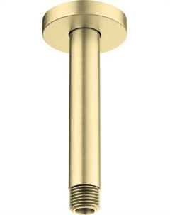 Душевой кронштейн Aquatek AQ2171BG