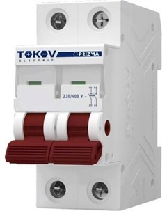 Выключатель нагрузки 2П 63А / TKE-PZ60-MDSI-2-63 Tokov electric