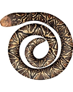 Мягкая игрушка Leader Toys Питон спираль / МТ11030 Leader toys