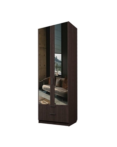 Шкаф 2-х дверный «Экон», 800×520×2300 мм, 2 ящика, зеркало, полки, цвет венге Аллоджио