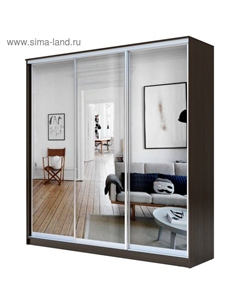 Шкаф-купе Хит-22-20/2-555, 2000×620×2200 мм, зеркало, цвет венге цаво Аллоджио