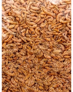 Корм для рыб и черепах «Пижон» гаммарус тушка, 500 г Пижон аква