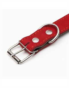 Ошейник комбинированный кожа/брезент, безразмерный, 70 х 3,5 см, ОШ 25-60 см, красный Пижон