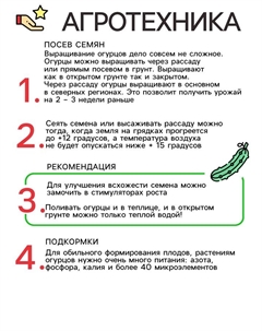 Семена Огурец "Луховицкий F1", серия 1+1, корнишон, набор 5 шт Мой выбор