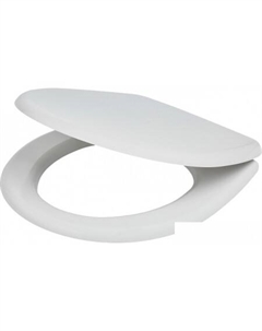 Сиденье для унитаза SD 15m (с микролифтом) Авн