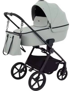 Детская универсальная коляска Rant Teo 2в1 / RA120