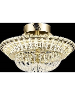 Потолочный светильник Wertmark Daria WE103.46.307