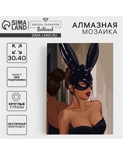 Алмазная мозаика с частичным заполнением на холсте «Девушка в маске», 30 х 40 см Школа талантов