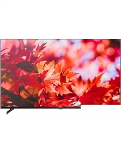 Blackton Bt 50FSU42B