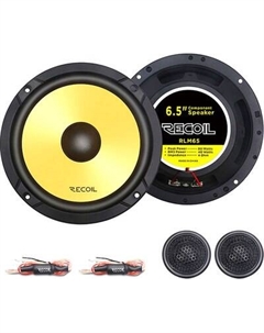 Компонентная АС Recoil RLM65