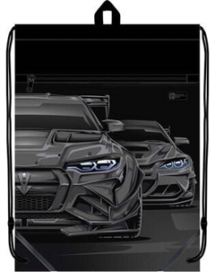 Мешок для обуви Феникс+ Тачка / 69178 Feniks