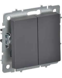 Выключатель IEK Brite BR-V23-0-10-K53 Iek