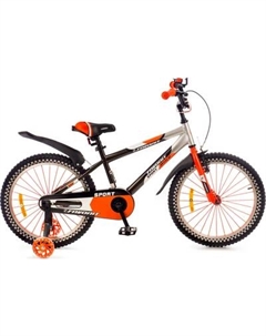 Детский велосипед Sport SPT-20OR2 Favorit