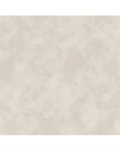 Виниловые обои 9250-08 Euro decor