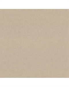 Виниловые обои 9256-12 Euro decor