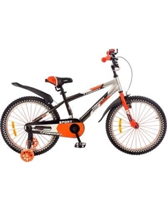 Детский велосипед Sport SPT-20OR2 Favorit