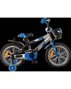 Детский велосипед Sport SPT-18BL2 Favorit