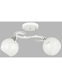 Потолочный светильник НПБ 02-2x60-101 / 6233/2 Aitin-pro