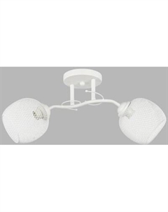 Потолочный светильник НПБ 02-2x60-101 / 6226/2 Aitin-pro