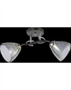Потолочный светильник НПБ 02-2x60-101 / 6223/2 Aitin-pro