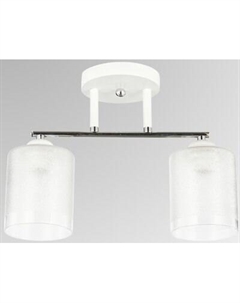 Потолочный светильник Aitin-Pro НПБ 02-2x60-101 / 6196/2 Aitin-pro