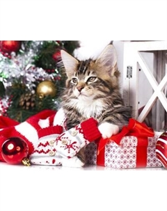 Картина по номерам Новогодний кот / Х-7552 Рыжий кот