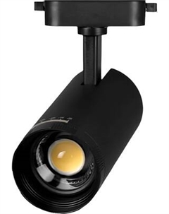 Трековый светильник Truenergy 24050