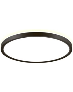 Потолочный светильник Citilux Norma CL749321