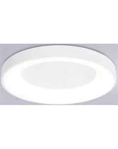 Потолочный светильник Ambrella Orbital FZ1401 WH