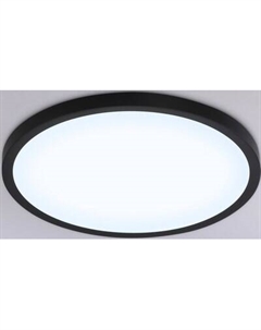 Потолочный светильник Ambrella Orbital FZ1957 BK