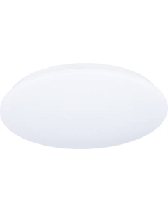 Потолочный светильник Truenergy 11209