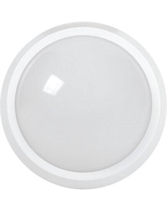 Светильник ЖКХ LDPO0-5060-24-4000-K01 Iek