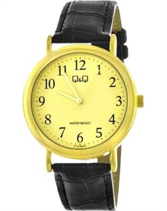 Часы наручные мужские C17AJ005P Q&q